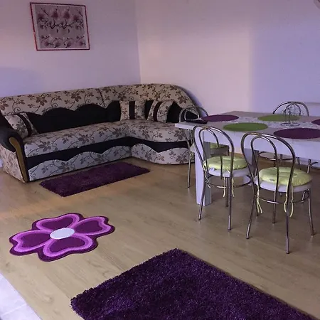 Apartment Xenopol Grand Studio *